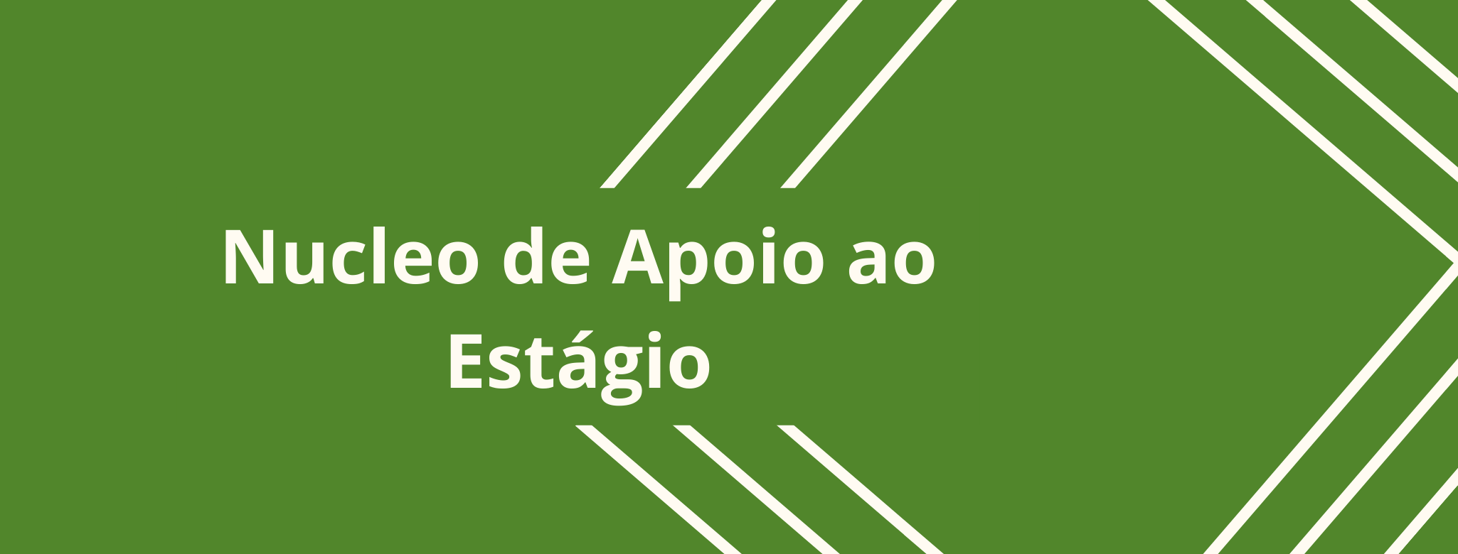 Núcleo de apoio ao estágio