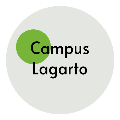 lagarto